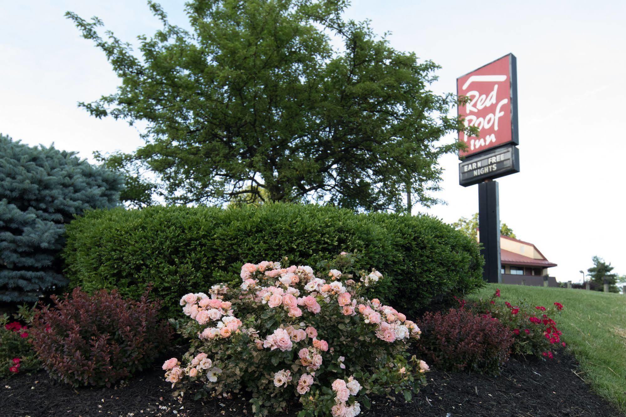 Red Roof Inn Cincinnati Northeast - Blue Ash Exterior photo